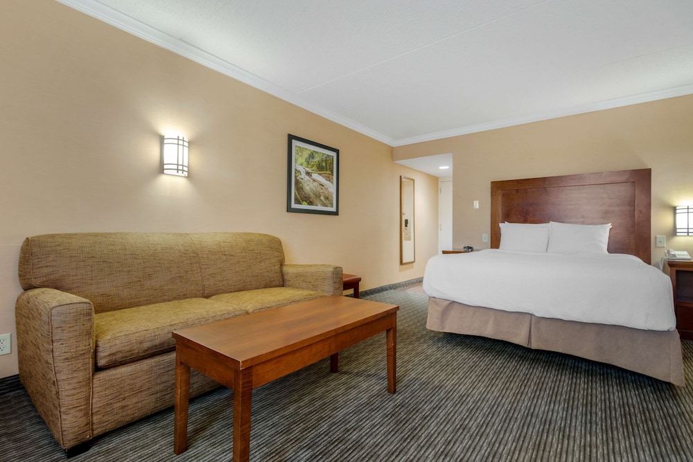 Standard Room, 1 Queen Bed, Non Smoking, Refrigerator & Microwave (2nd Floor;with Sofabed) photo 2