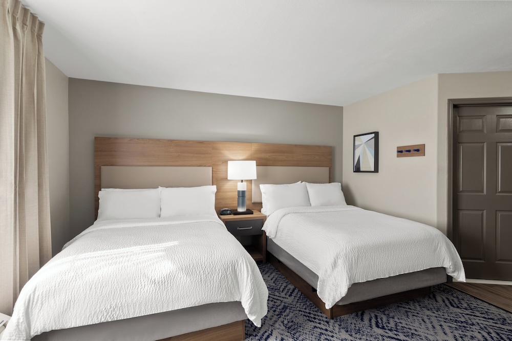 Studio Suite, 2 Double Beds