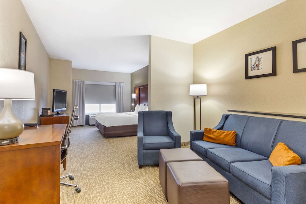 Suite, 1 King Bed with Sofa bed, Accessible, Non Smoking (2 Person Sofa Bed) - Photo 4