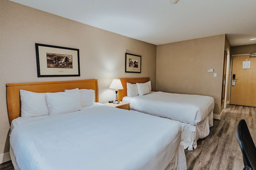 Standard Room, 2 Queen Beds, Non Smoking, Refrigerator & Microwave (Pet Friendly) - Photo 9