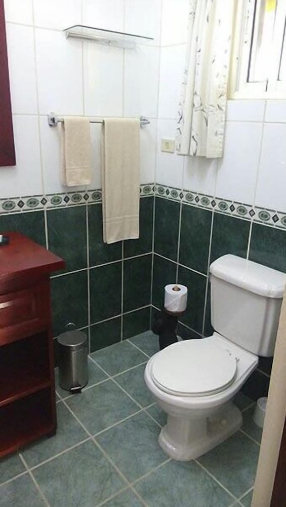 One Bedroom Apartment photo 3