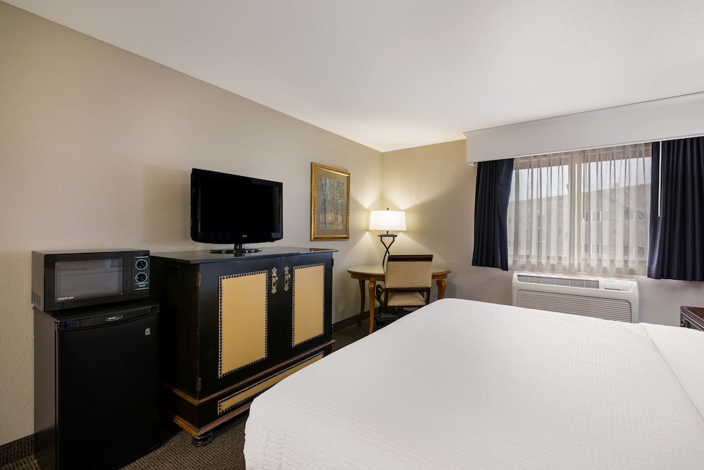 Standard Room, 1 King Bed, Non Smoking, Refrigerator & Microwave - Photo 3