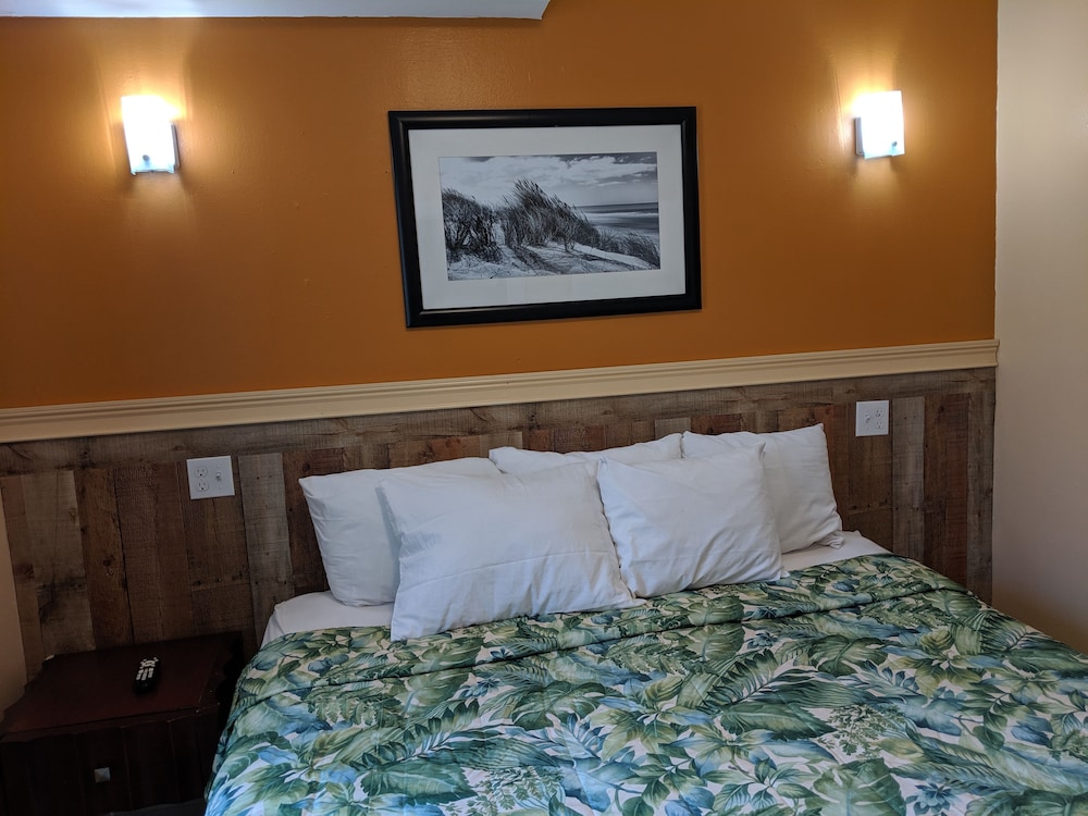 One Bedroom Apartment photo 3