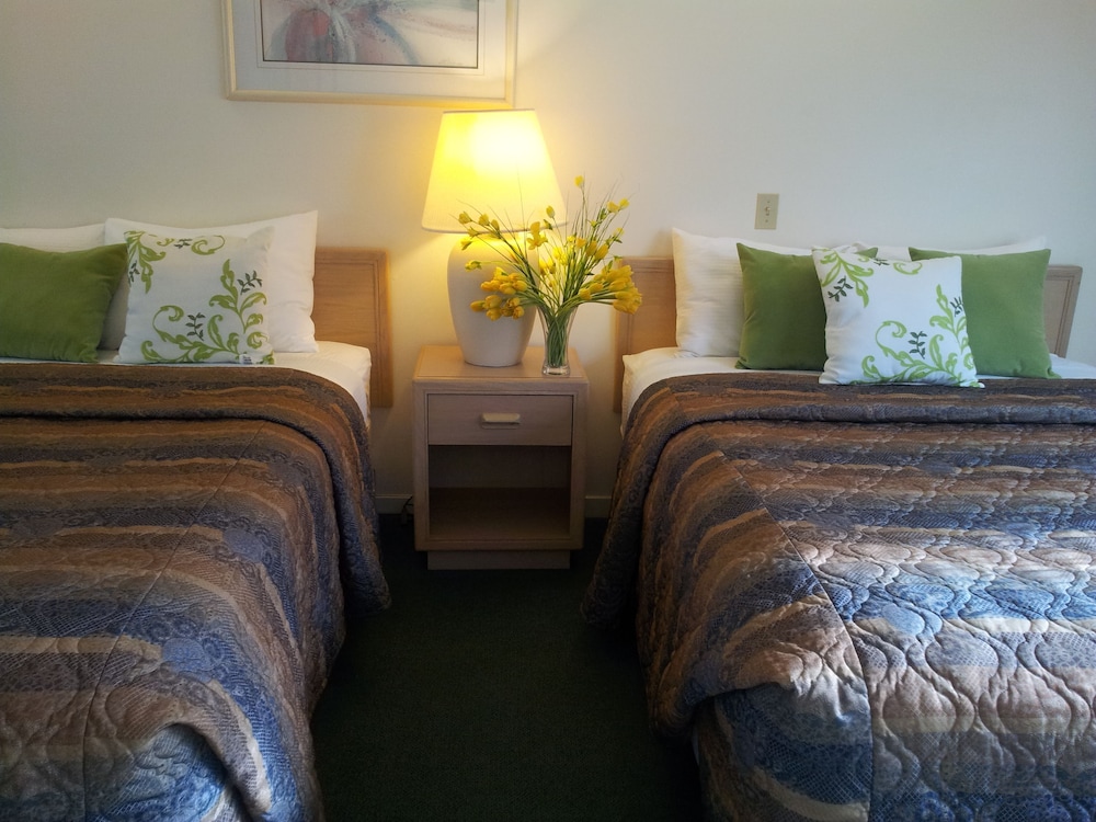 Family Room photo 1