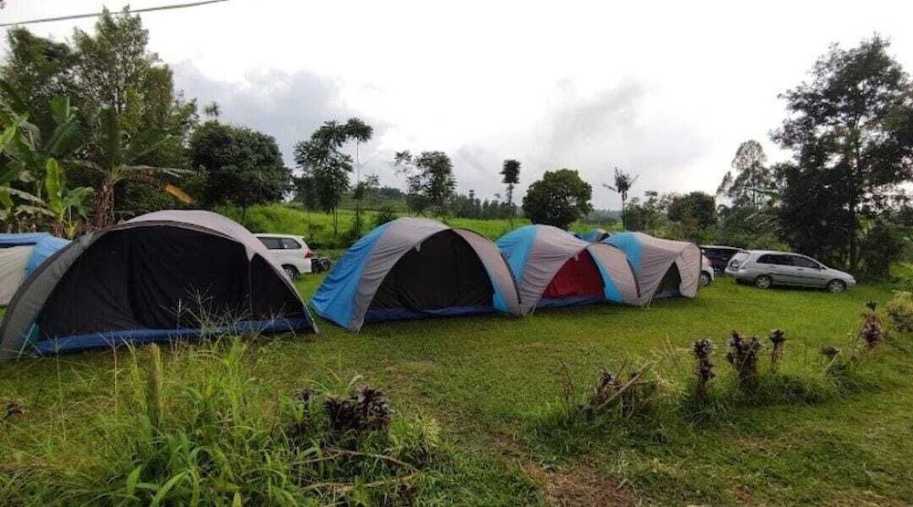 Family Tent, Mountain View photo 1