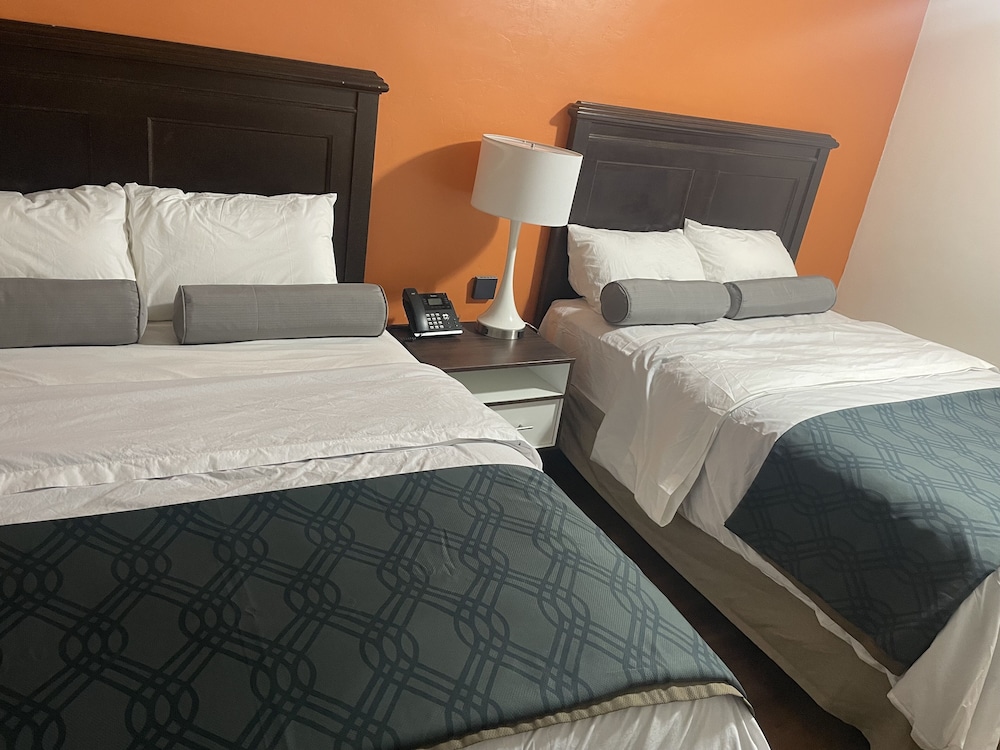 Traditional Room photo 1