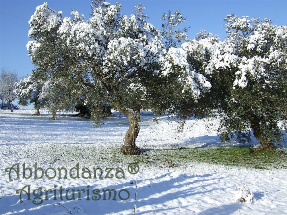 Room in Farmhouse - Agriturismo Abbondanza®, Billede 13