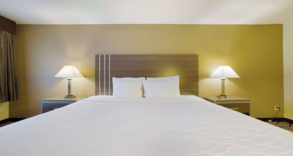 Standard Room, 1 Queen Bed, Non Smoking, Refrigerator & Microwave photo 1