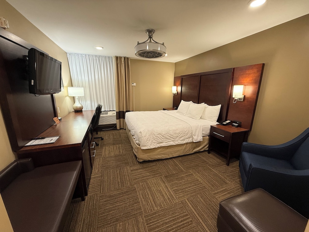 Standard Accessible Handicap King bedroom