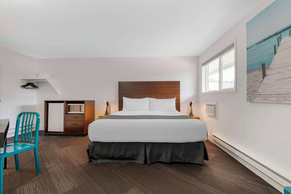 Standard Room, 1 King Bed, Refrigerator & Microwave, Mountain View