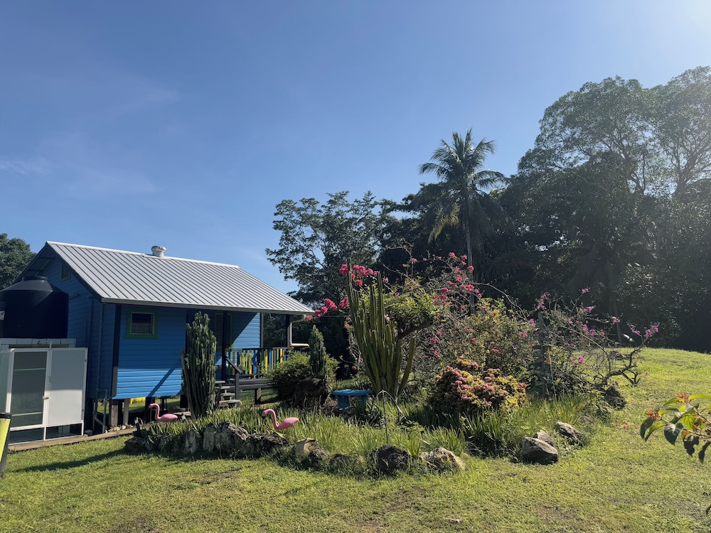 Moonflower - Friends & Family Cabana - Queen Bed, Bunk Beds, Single Bed, Ensuite Bathroom photo 1