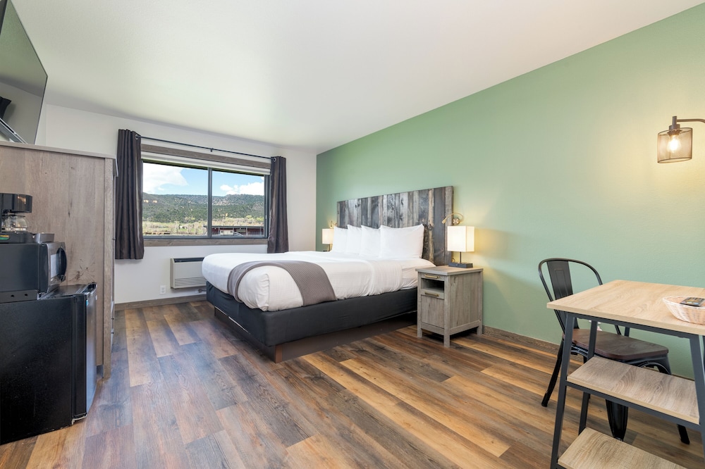Premium Room, 1 King Bed, Non Smoking - Pet Friendly photo 2