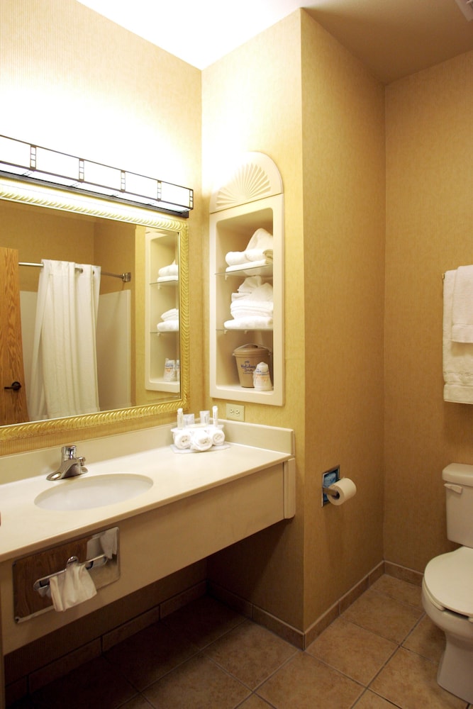 Suite, 1 Bedroom - Photo 6
