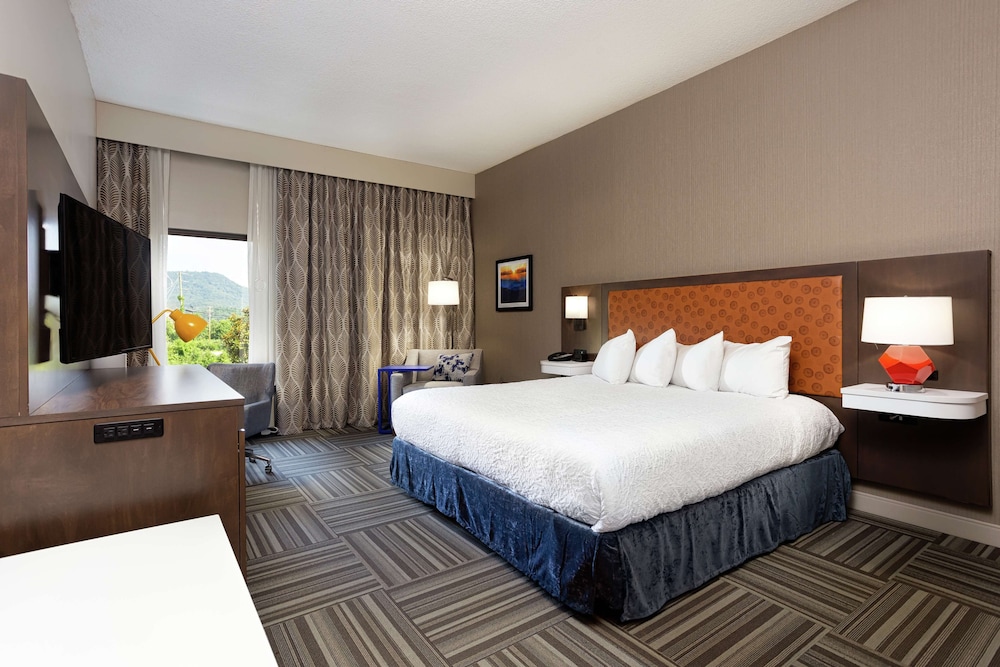 Room, 1 King Bed, Accessible (Mobility & Hearing, Roll-in Shower) - Photo 1