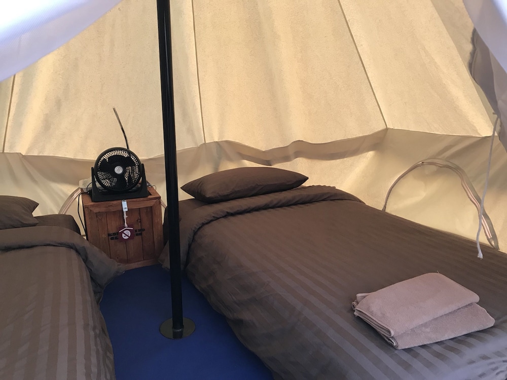 Softail (Twin Bed Mountain View)
