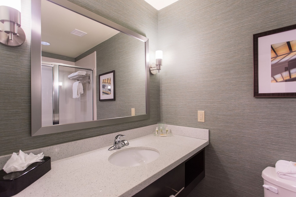 Suite, 1 Bedroom photo 3