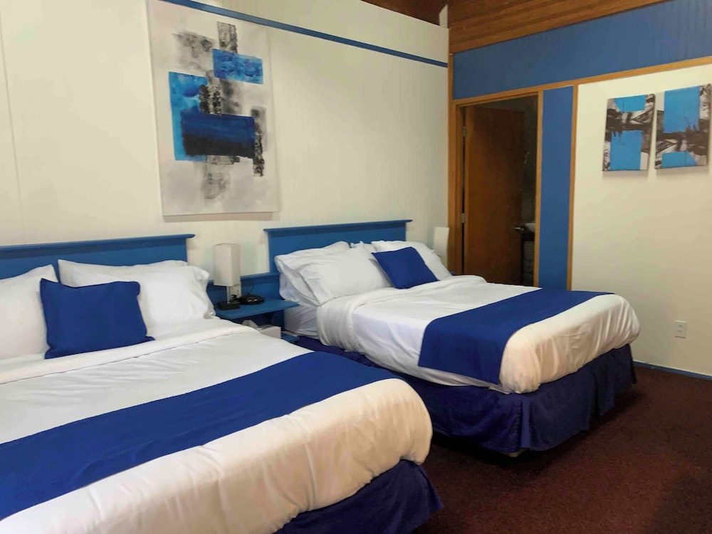 Motel Magistral, Billede 24