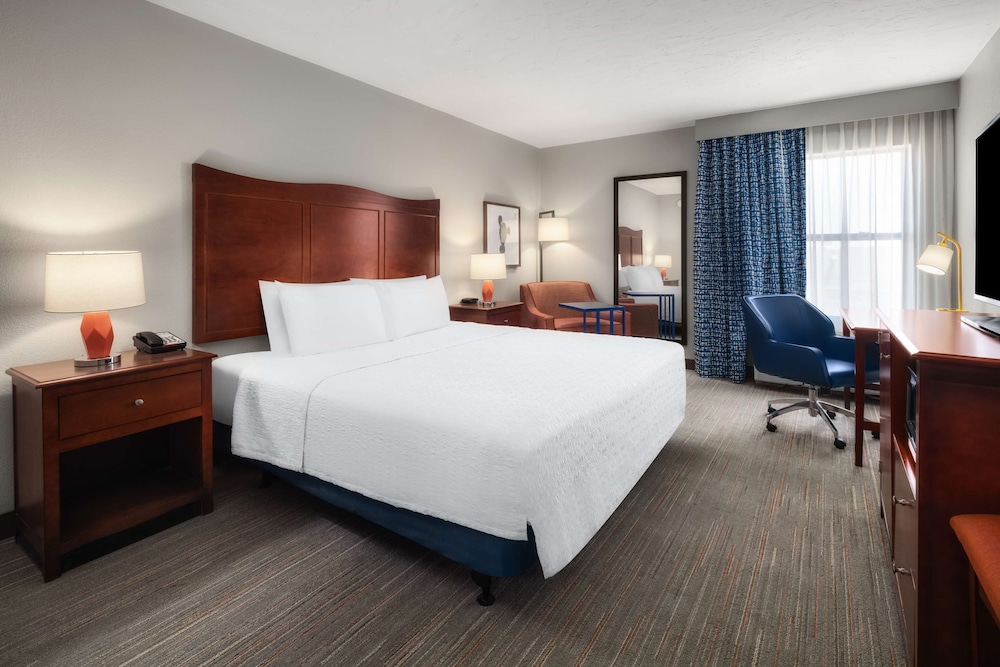 Room, 1 King Bed, Non Smoking