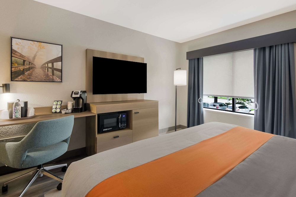 1 King Bed, Accessible, Non Smoking (Roll-in Shower) - Photo 2