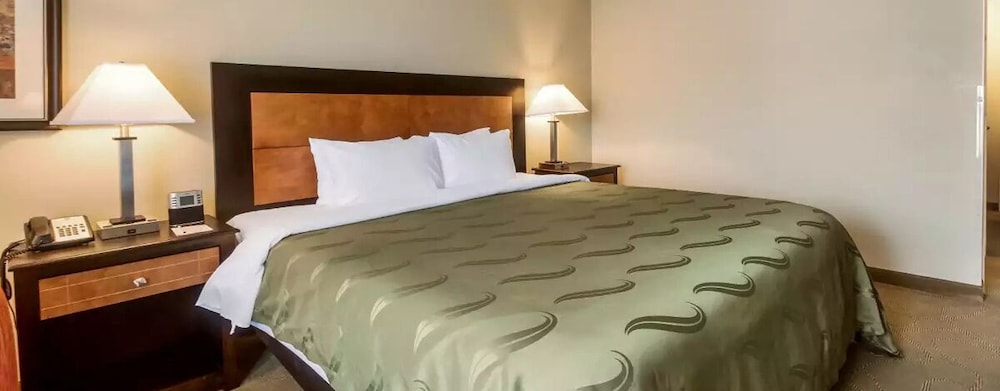 Standard Single Room, 1 King Bed with Sofa bed, Non Smoking photo 3