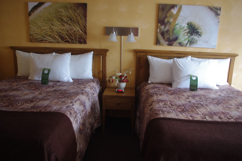 Standard Quadruple Room, 2 Double Beds photo 2