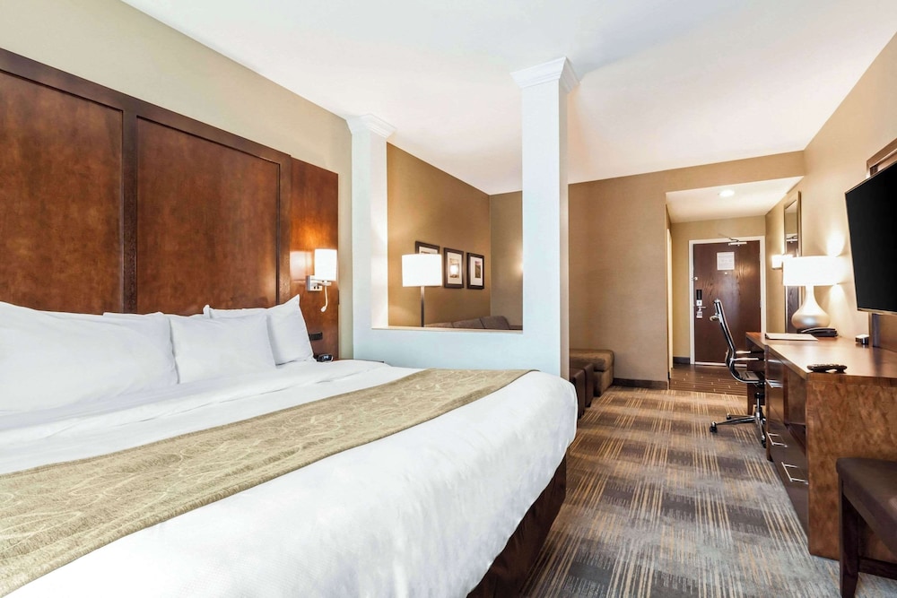 Suite, 1 King Bed with Sofa bed, Accessible, Non Smoking