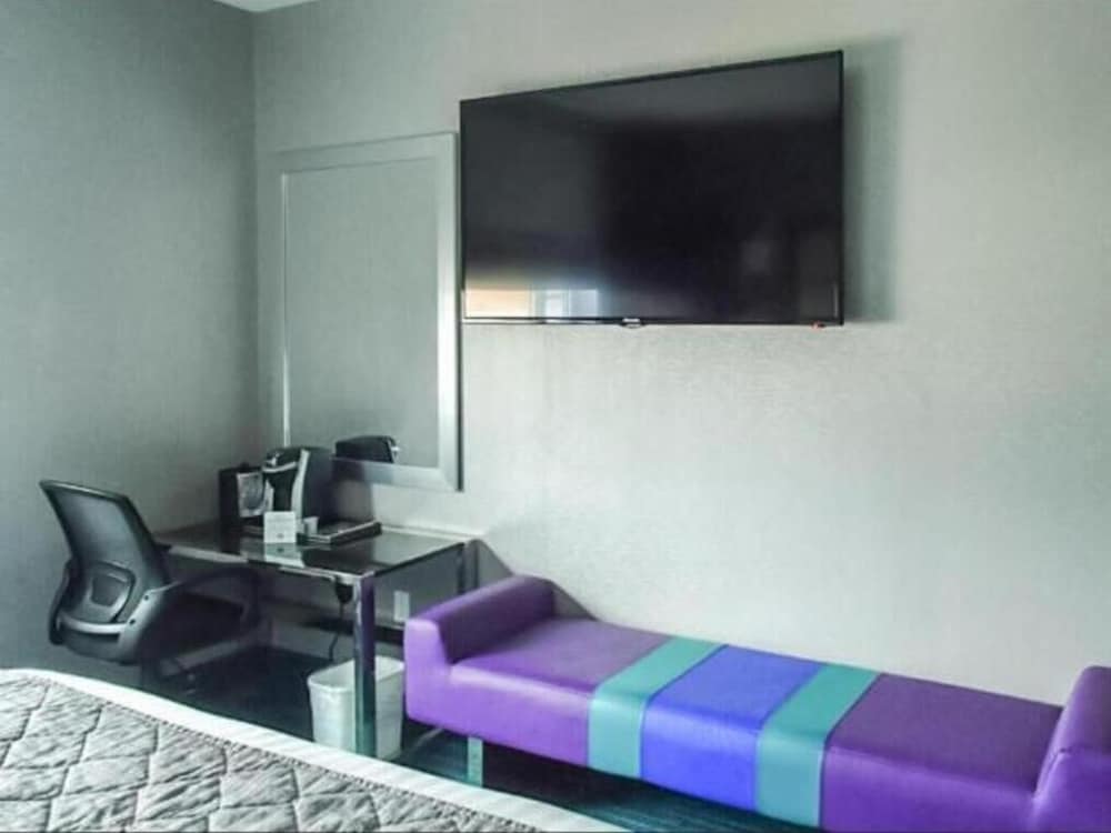Comfort Room photo 2