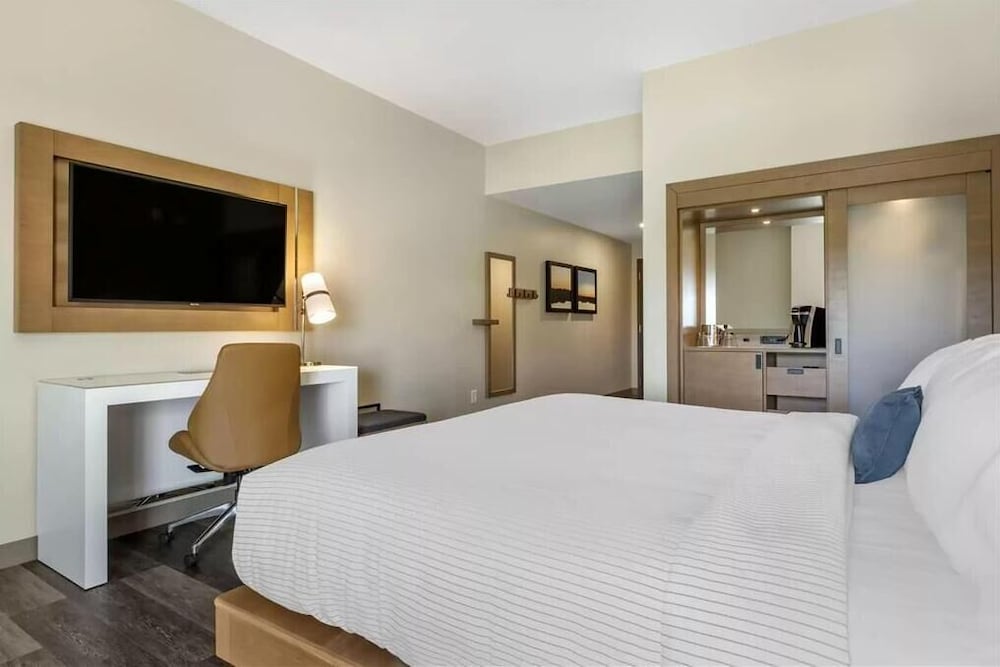 Room, 1 King Bed, Accessible, Bathtub - Photo 1