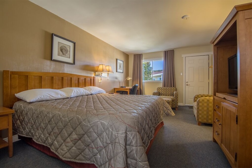 Standard Room, 1 King Bed photo 3