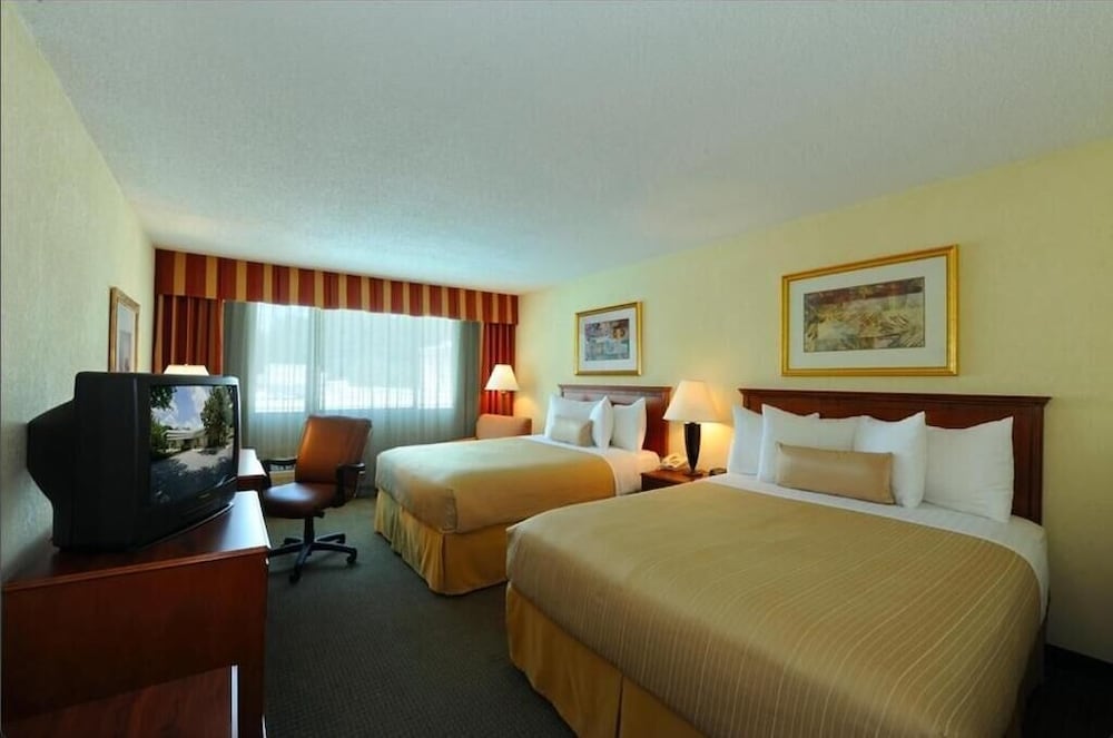 Economy Double Room, 2 Queen Beds, Non Smoking photo 2