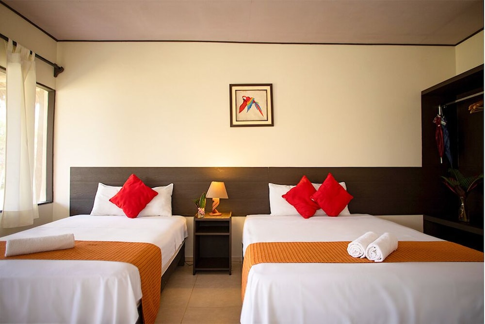Traditional Twin Room, Terrace photo 2