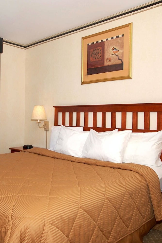 City Room photo 1