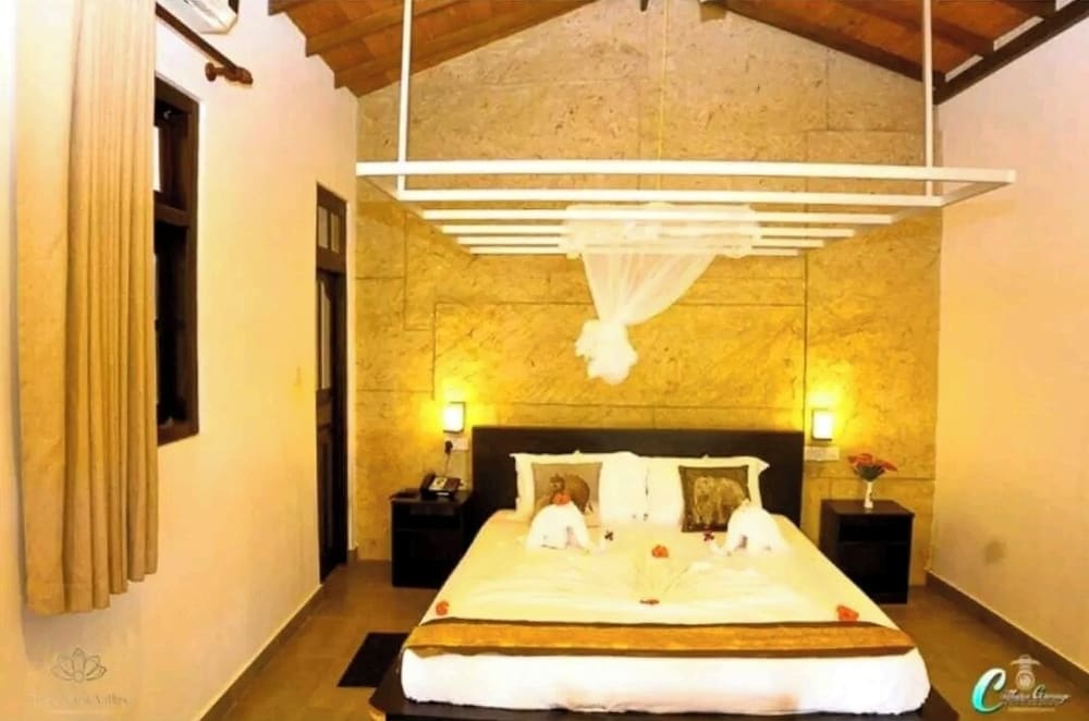 Superior Double Room photo 1