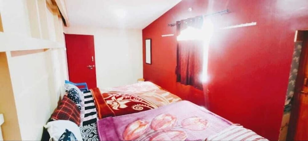 Classic Shared Dormitory photo 1