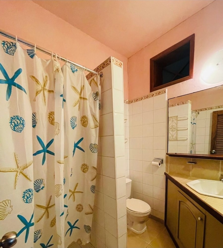 City Room photo 3