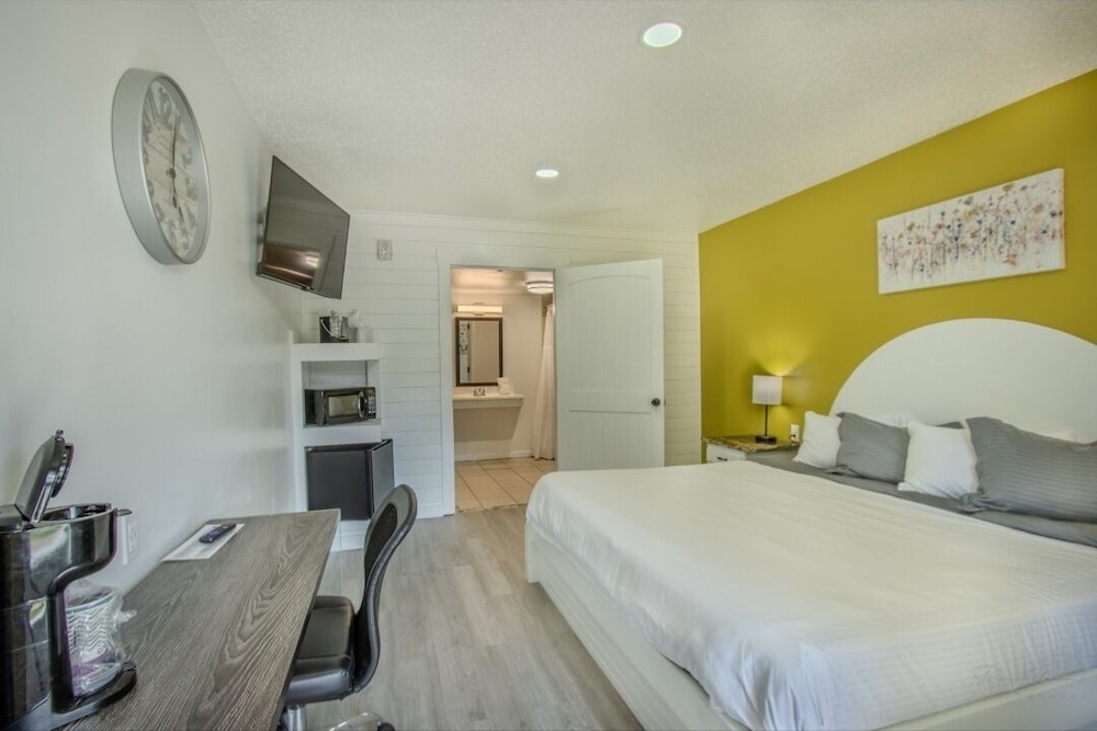 Single Room photo 1