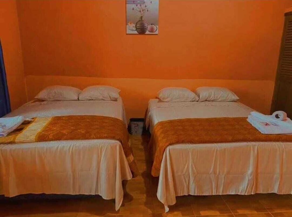 Basic Double Room, 2 Twin Beds, Accessible Bathtub, Garden View photo 1