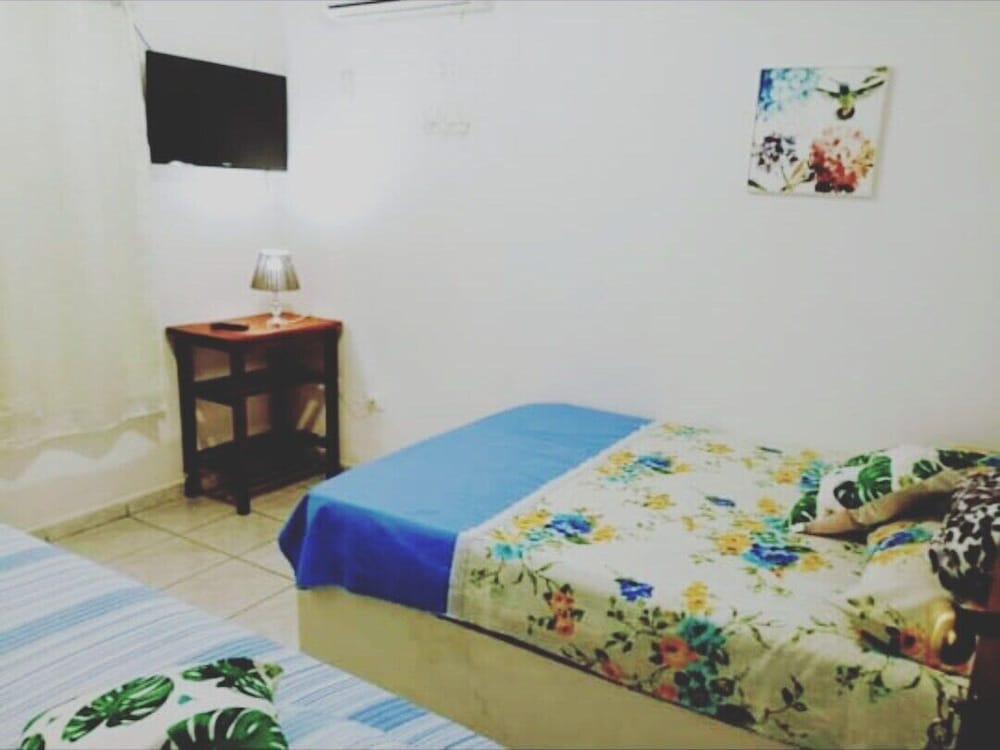 Basic Single Room photo 1