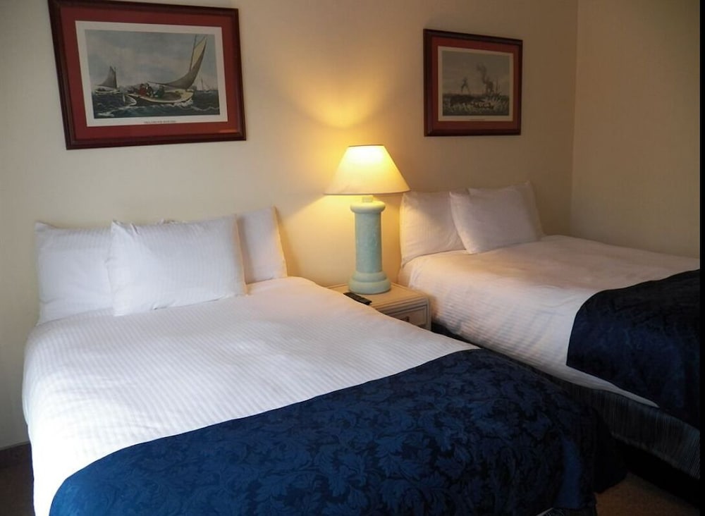 Deluxe Suite Two Double Bed photo 1