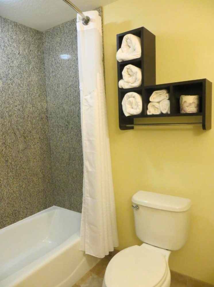 Standard Room, 1 King Bed, Accessible (Communications, Mobility, Access Tub) - Photo 2
