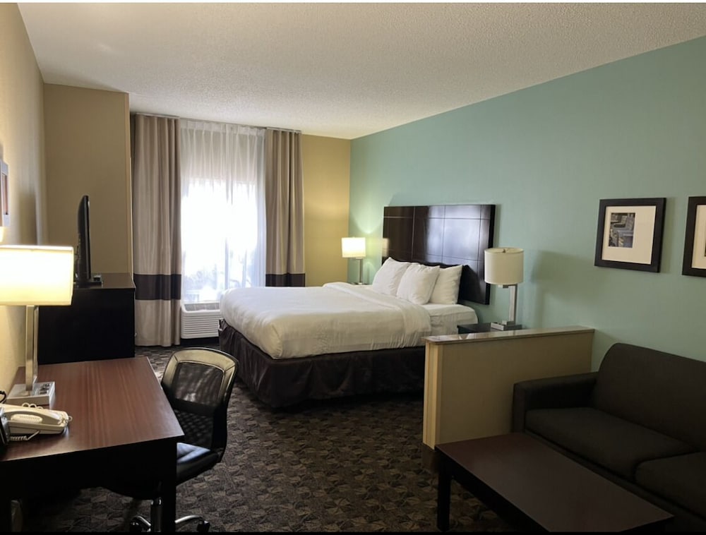 Standard Suite, 1 King Bed With Sofa Bed, Accessible, Non Smoking, Refrigerator & Microwave
