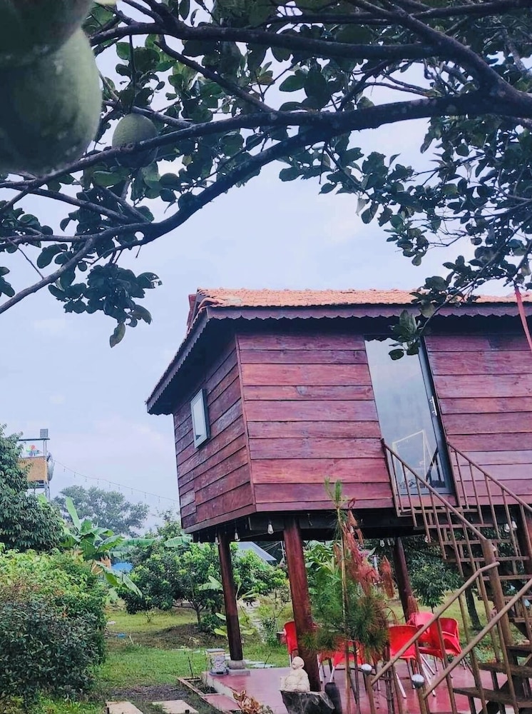 Basic Tree House photo 1