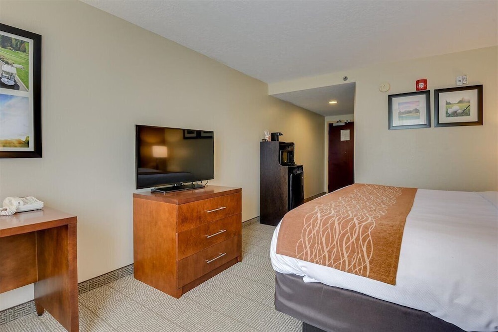 Room, 1 King Bed, Accessible, Non Smoking - Photo 2