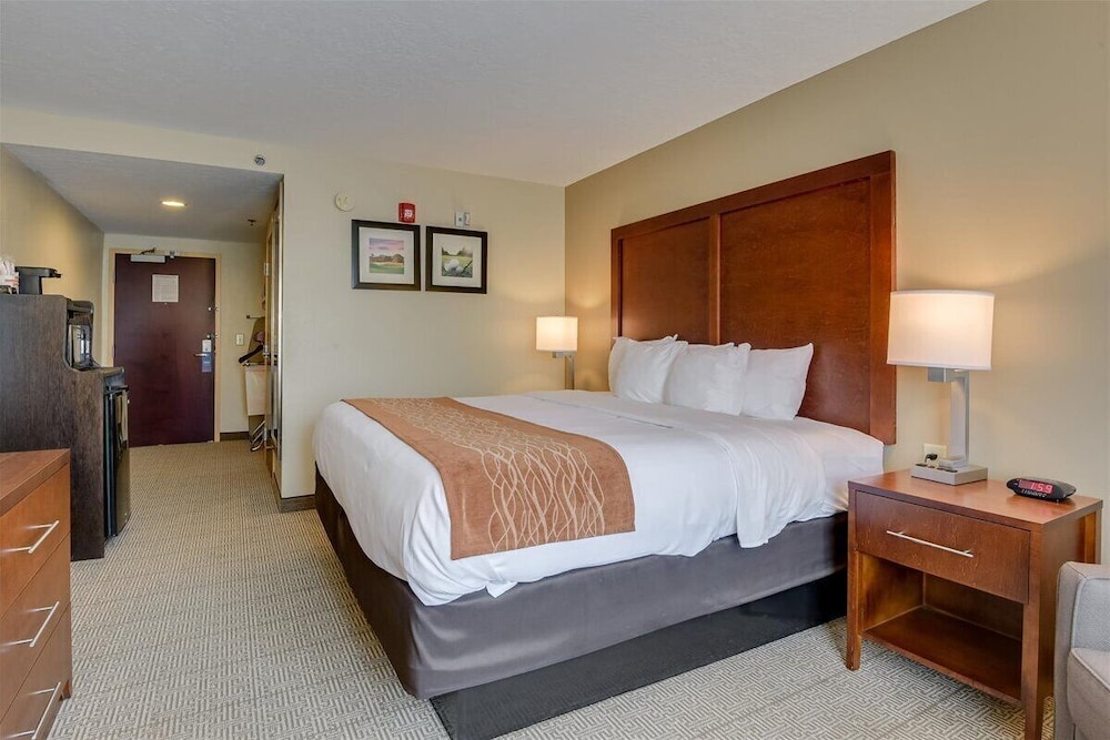 Room, 1 King Bed, Accessible, Non Smoking - Photo 1