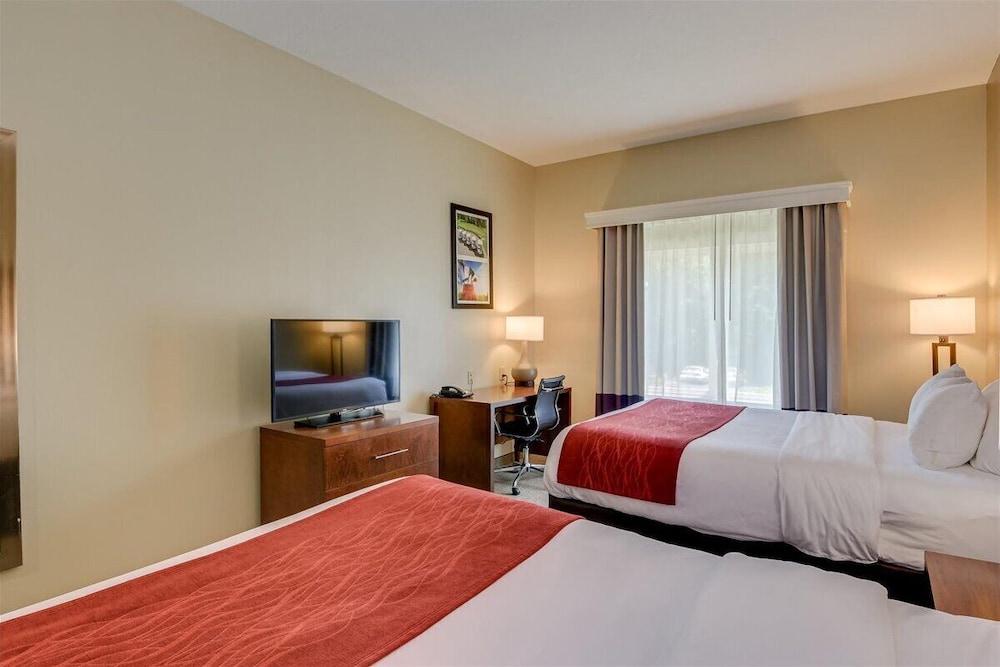 Room, 2 Queen Beds, Non Smoking photo 3