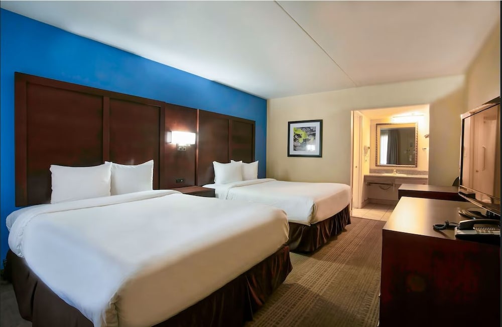 Signature Twin Room