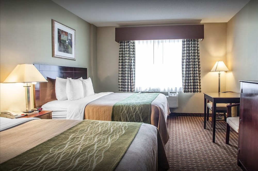 Standard Double or Twin Room photo 2