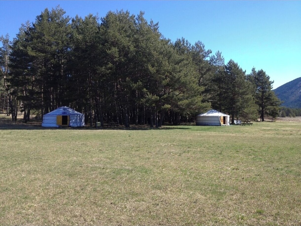 Family Tent, Mountain View photo 1