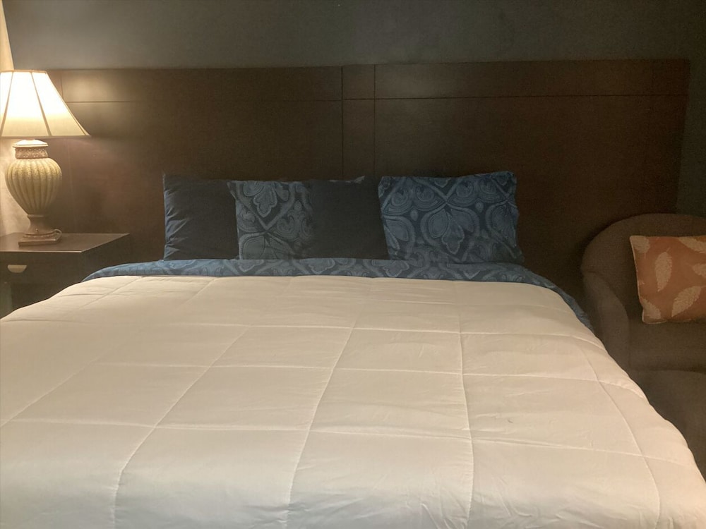 Single Room, 1 King Bed, Non Smoking photo 1