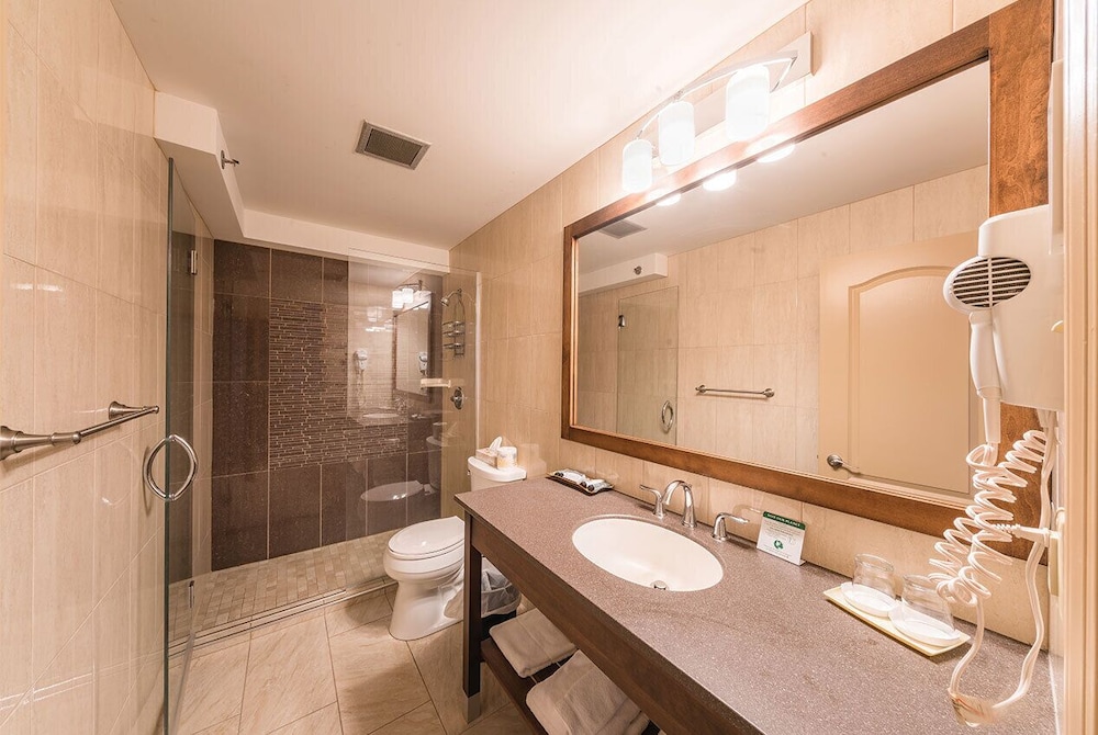 Premier Room photo 2